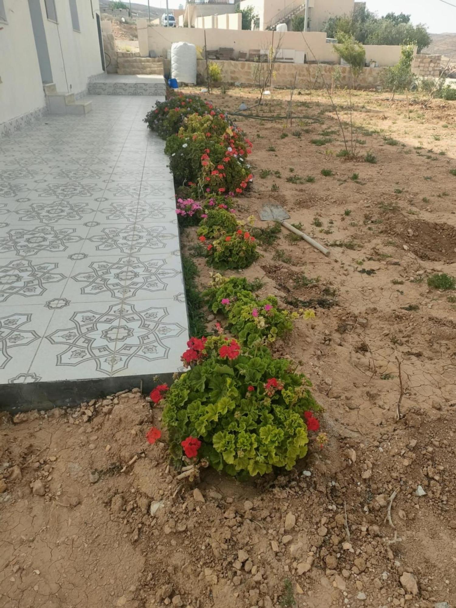 Darkum Apartment Wadi Musa Exterior photo