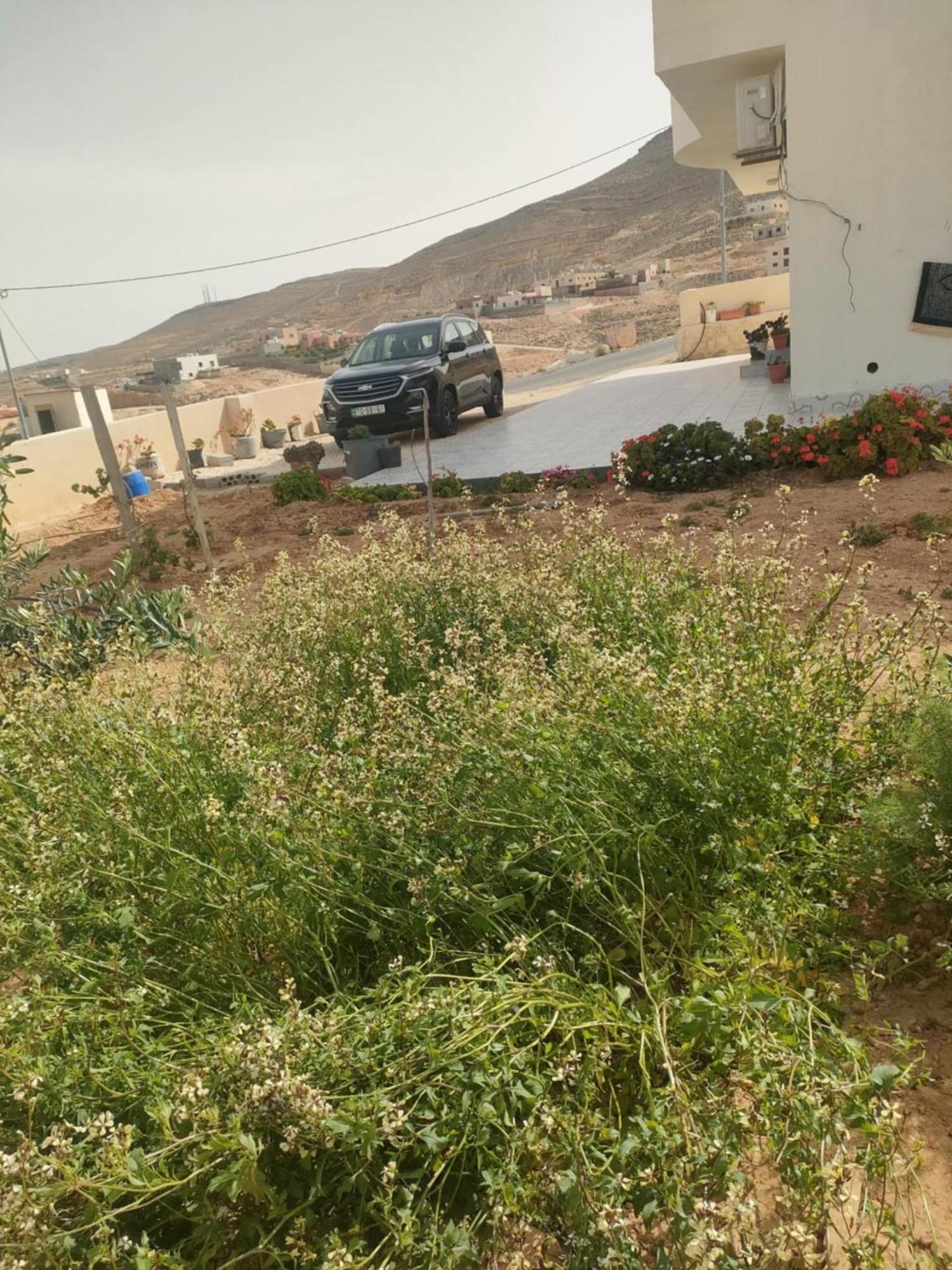 Darkum Apartment Wadi Musa Exterior photo